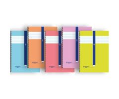 ERIGGAN CUADERNO ESPIRAL 80H FOLIO 70GR 3X3MM TAPA CARTONCILLO C/SURTIDOS ERIGGAN CUADERNO ESPIRAL 80H FOLIO 70GR 3X3MM TAPA CARTONCILLO C/SURTIDOS