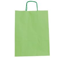 FAMA BOLSA DE ASA RETORCIDA 125GR 15X8X21CM PAPEL VERDE CLARO FAMA BOLSA DE ASA RETORCIDA 125GR 15X8X21CM PAPEL VERDE CLARO