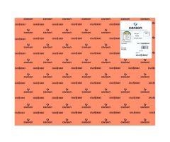 IRIS CARTULINA 50X65CM 185GR CORAL -25U- IRIS CARTULINA 50X65CM 185GR CORAL -25U-