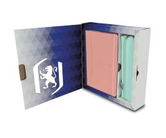 OXFORD LOTE EXECUTIVE PASTEL OXFORD LOTE EXECUTIVE PASTEL